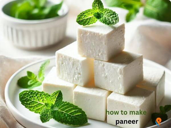 how to make paneer